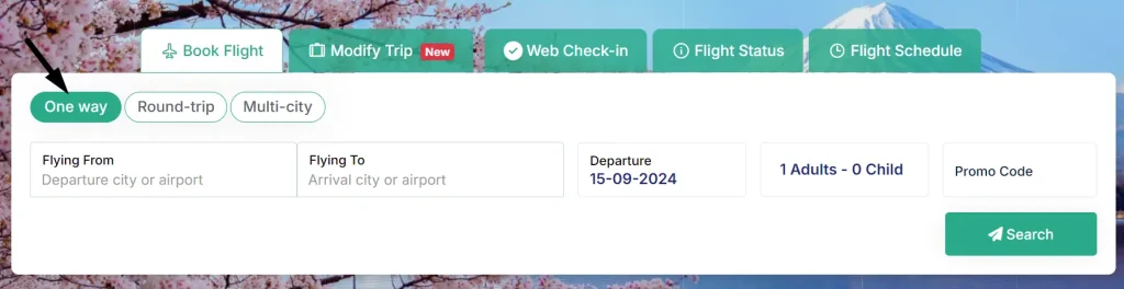 বিমানের টিকেট কাটার ওয়েবসাইটে one way সিলেক্ট